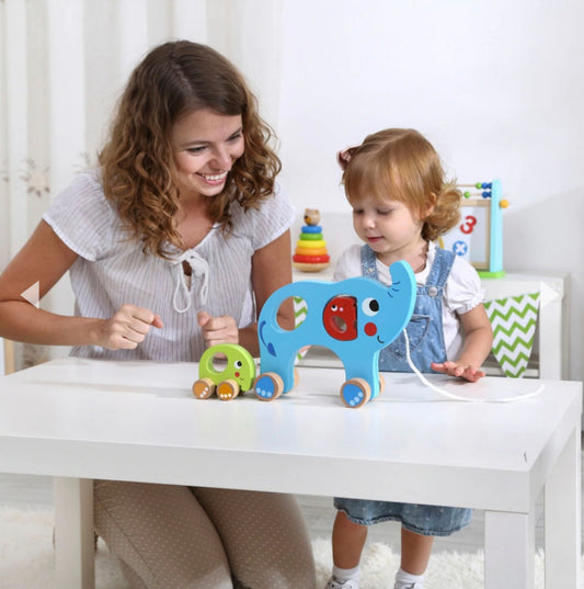 Pull Along Mom & Baby Elephant - Tooky Toy